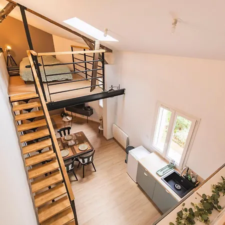 Loft Type Industriel Reims