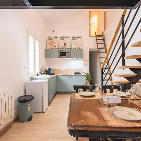 Loft Type Industriel * Reims