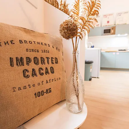 Loft Type Industriel Appartamento
